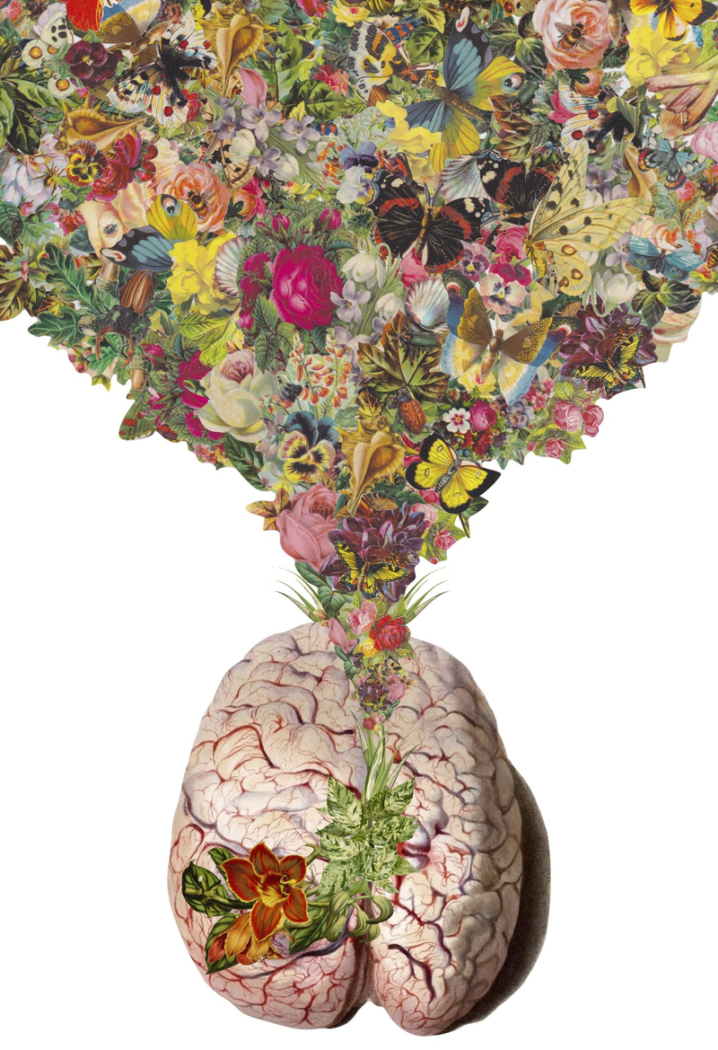 Illustration for article titled Surreal Collages of Animals, Plants, and Body Parts Are Subtly Creepy